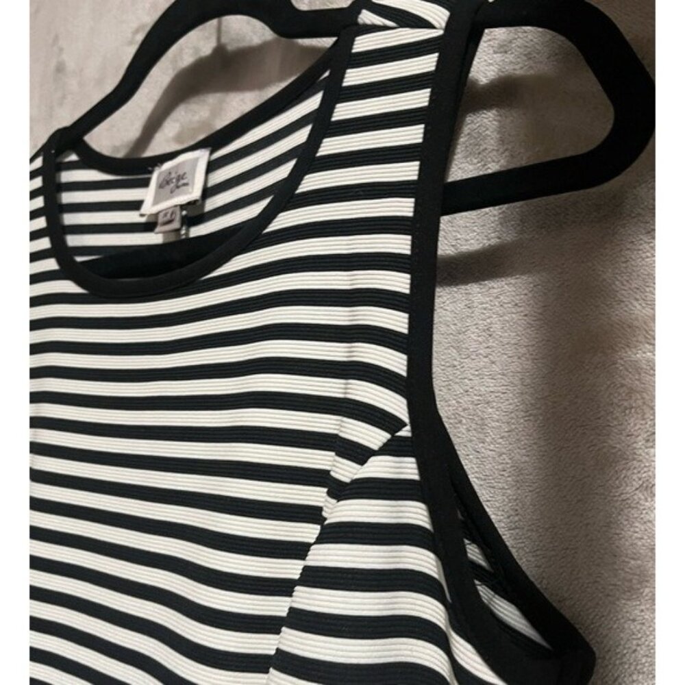 Beige by ECI Black White Striped Sleeveless Fit Flare Horizontal Diagonal Dress - Picture 8 of 12